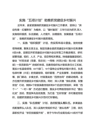 经验交流：实施“五项计划”助推抓党建促乡村振兴.docx