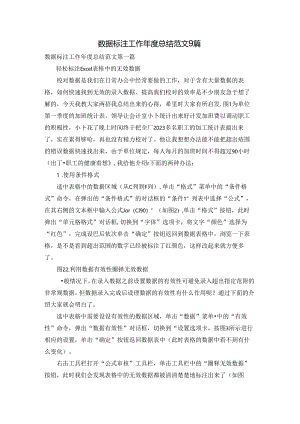 数据标注工作年度总结范文9篇.docx