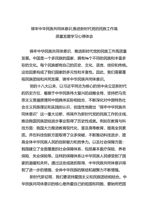 【7篇】铸牢中华民族共同体意识,推进新时代党的民族工作高质量发展学习心得体会(最新精选).docx