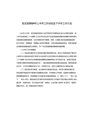 党支部2024年上半年工作总结及下半年工作计划.docx