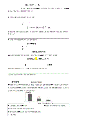 6.1.2 动植物细胞有丝分裂的区别和观察有丝分裂实验.docx