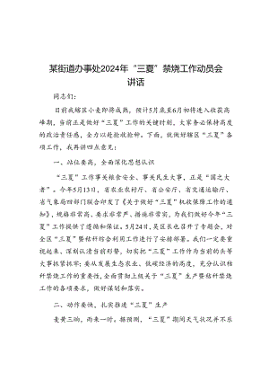 在2024年“三夏”禁烧工作动员会上的讲话（街道办事处）.docx