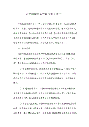 社会组织财务管理指引.docx