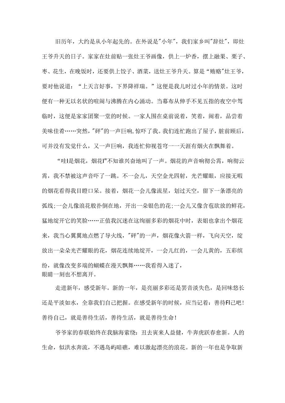 600字作文快乐的春节.docx_第3页