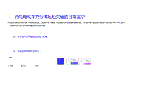 2024两轮电动车行业简析报告.docx