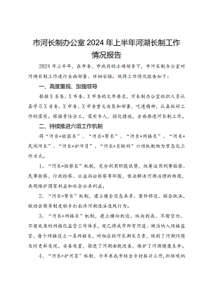 市河长制办公室2024年上半年河湖长制工作情况报告.docx