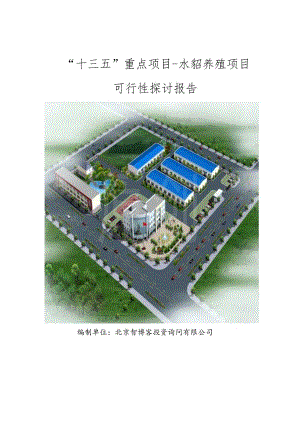 “十三五”重点项目-水貂养殖项目可行性研究报告.docx
