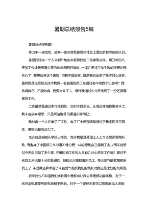 暑期总结报告5篇.docx