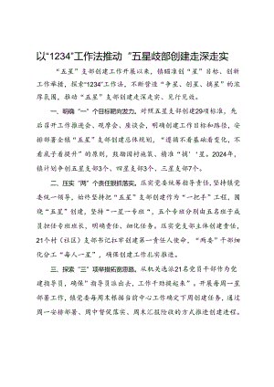 经验交流：以“1234”工作法推动“五星”支部创建走深走实.docx