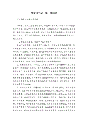 党支部书记三年工作总结.docx