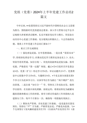 党组(党委)2024年上半年党建工作总结2篇文.docx