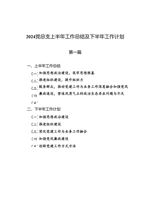 2024党总支上半年工作总结及下半年工作计划.docx