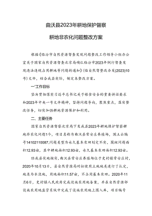 曲沃县2023年耕地保护督察耕地非农化问题整改方案.docx