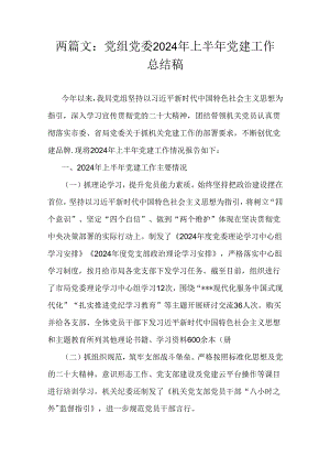 两篇文：党组党委2024年上半年党建工作总结稿.docx