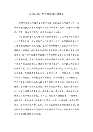 在理论学习中心组学习心得体会.docx