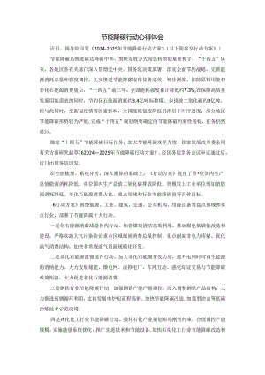 节能降碳行动心得体会.docx
