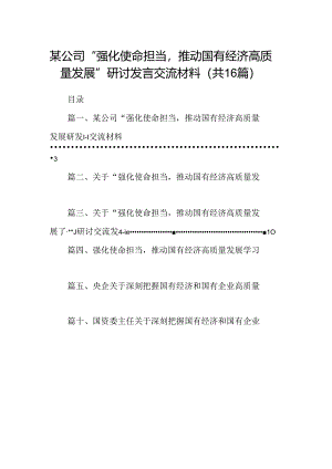 （16篇）某公司“强化使命担当推动国有经济高质量发展”研讨发言交流材料（最新版）.docx