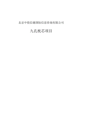 九孔枕芯项目可行性研究报告编写格式说明(模板套用型文档).docx