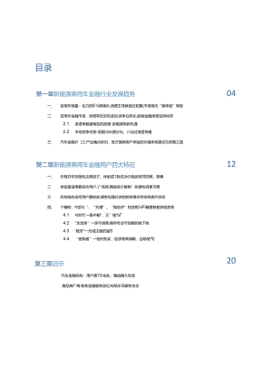 2024年中国汽车金融报告- 聚焦新能源 强化体验感 突围价格战.docx