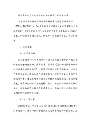 湖北省专利产业化促进中小企业成长计划实施方案.docx