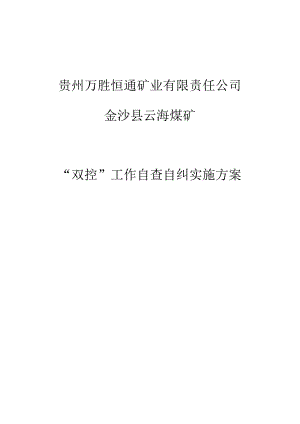 “双控”工作自查自纠实施方案.docx
