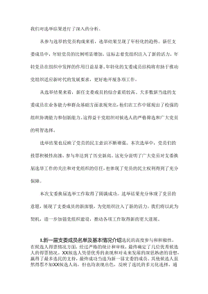 支委换届选举工作总结范文.docx