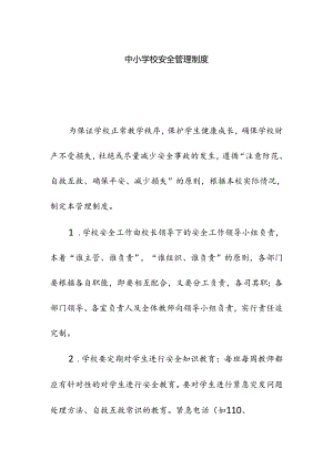 中小学校安全管理制度.docx