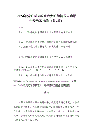 2024年党纪学习教育六大纪律情况自查报告及整改措施（共9篇）.docx