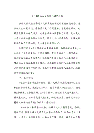 关于XX镇人大工作的调研报告.docx