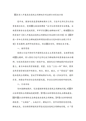 XX区深入开展违法违规占用耕地专项治理行动实施方案.docx