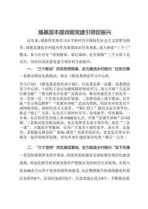 镇党委书记关于党建工作经验分享交流发言.docx