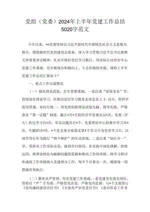 党组(党委)2024年上半年党建工作总结5020字范文.docx