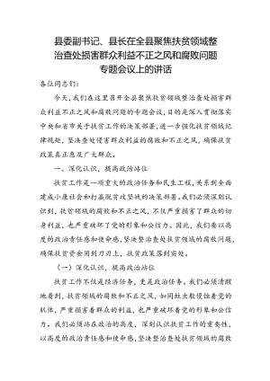 县委副书记、县长在全县聚焦扶贫领域整治查处损害群众利益不正之风和腐败问题专题会议上的讲话.docx