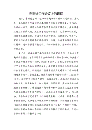 在审计工作会议上的讲话.docx