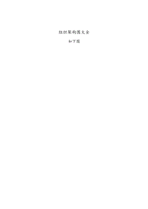 公司组织结构.docx