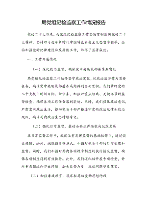纪检监察工作情况报告（党组）.docx