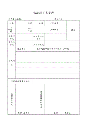 劳动用工备案表.docx