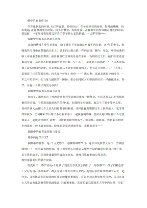 眼中的春节作文.docx