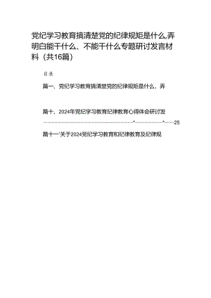 党纪学习教育搞清楚党的纪律规矩是什么弄明白能干什么、不能干什么专题研讨发言材料16篇（精选版）.docx