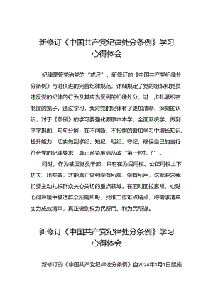 2024版关于新修订中国共产党纪律处分条例的研讨发言稿22篇.docx