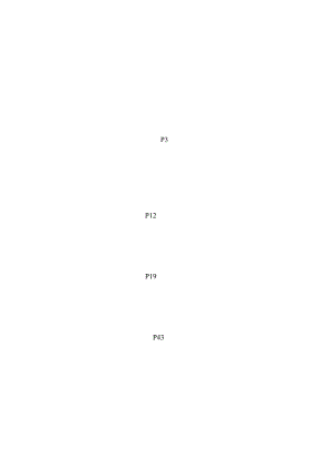 某集团21城项目策划全案.docx