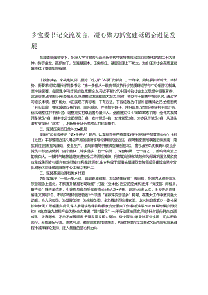 乡党委书记交流发言：凝心聚力抓党建 砥砺奋进促发展.docx