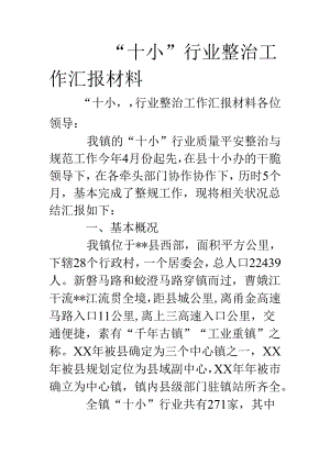 “十小”行业整治工作汇报材料.docx