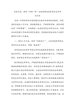 经验交流：聚焦“四维一体” 全链条锻造高素质党支部书记队伍.docx