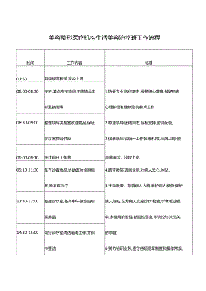 美容整形医疗机构生活美容治疗班工作流程.docx