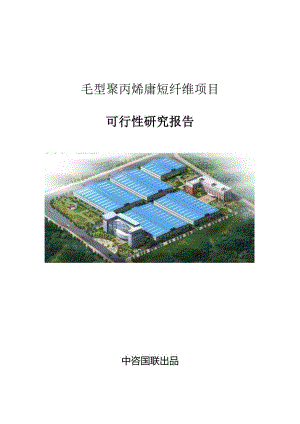 毛型聚丙烯腈短纤维项目可行性研究报告立项审批报告.docx