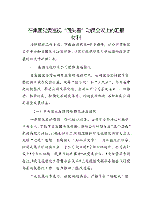 在集团党委巡视“回头看”动员会议上的汇报材料.docx
