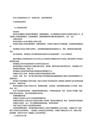 某集团财务管理规程.docx