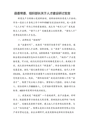 组织部长关于人才建设研讨发言.docx