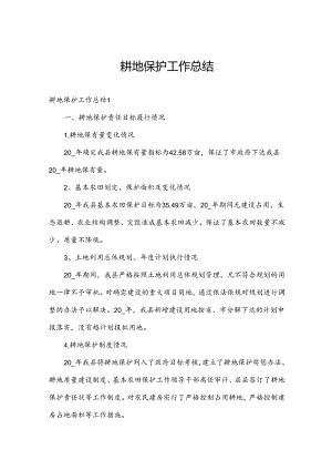 耕地保护工作总结.docx
